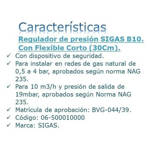 Imagen de Regulador para gas natural B 10 flexible corto Sigas