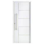 Imagen de Puerta NEXO Acero Deluxe 5t horizontal 0.90m x2.05m Der -D500D
