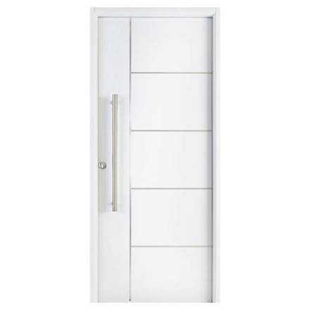 Imagen de Puerta NEXO Acero Deluxe 5t horizontal 0.90m x2.05m Der -D500D