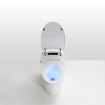 Imagen de Inodoro inteligente TRITON Q9